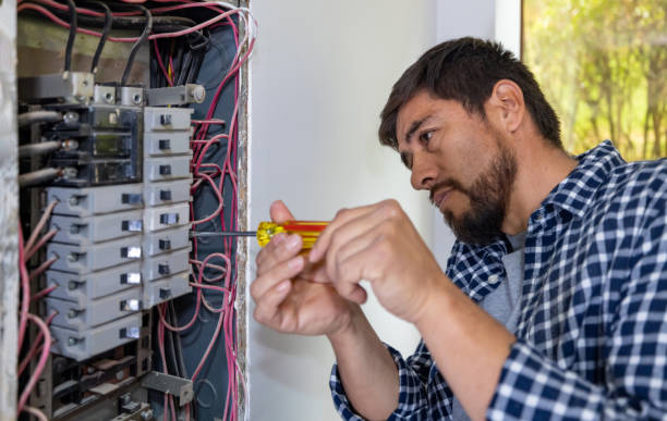 Best Electric Panel Repair  in Hartshorne, OK